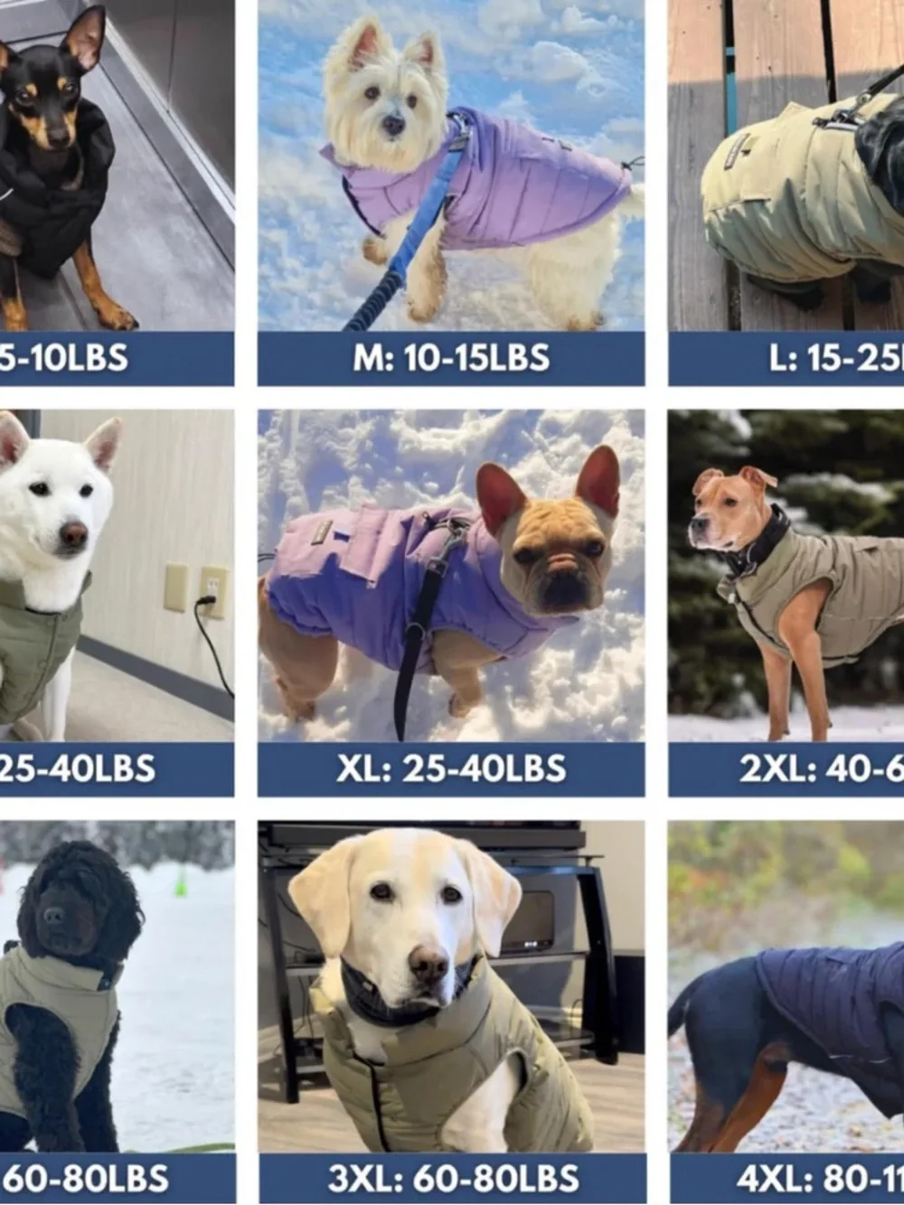 BRAND NEW ✨SPARK PAWS✨ WarmShield Water-Resistant Jackets XL